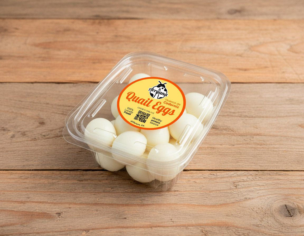 Peeled Quail Eggs 20 Pack